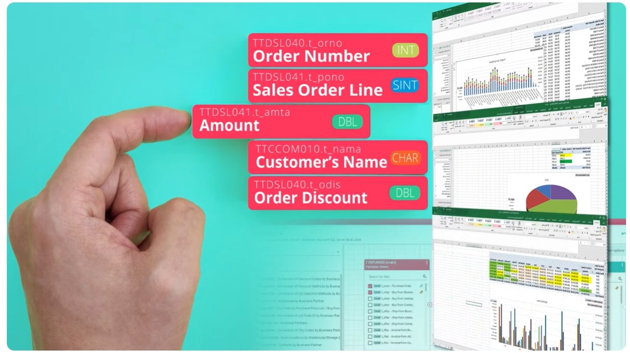 Selecting Infor LN fields and turning them into Excel reports and dashboards